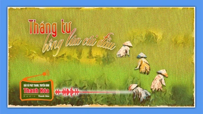 [Podcast Tản văn] Tháng Tư bông lúa cúi đầu